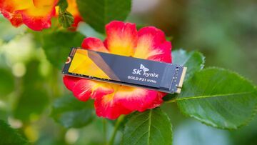 SK Hynix Gold P31 Review