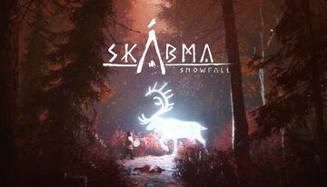 Skbma Snowfall test par Beyond Gaming