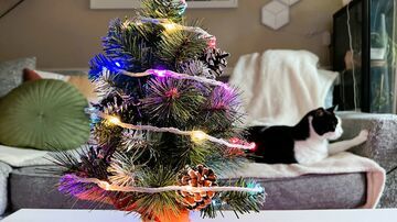 Govee Christmas String Lights reviewed by TechRadar