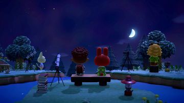 Animal Crossing New Horizons test par New Game Plus