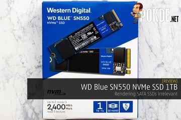 Western Digital Blue SN550 test par Pokde.net