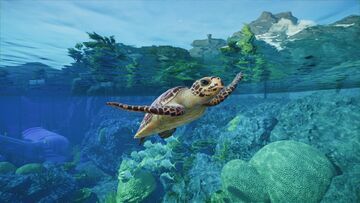 Test Planet Zoo 2