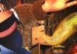 Test Donkey Kong Test Donkey Kong