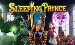 Test Sleeping Prince 