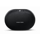 Test Harman Kardon Omni 20