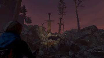 Test Through the Woods
