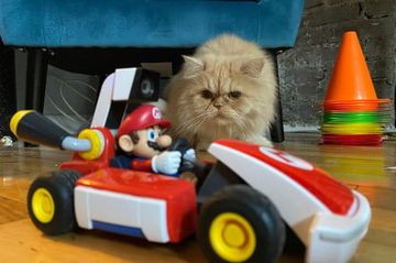 Mario Kart Live: Home Circuit test par DigitalTrends Mario Kart Live: Home Circuit test par DigitalTrends