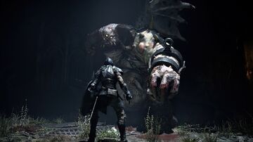 Demon's Souls test par wccftech Demon's Souls test par wccftech