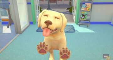 Test My Universe Pet Clinic