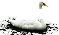 The Unfinished Swan test par JeuxActu.com The Unfinished Swan test par JeuxActu.com