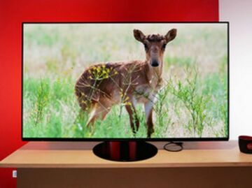 Panasonic TX-55HZ1000 testé par CNET France Panasonic TX-55HZ1000 testé par CNET France