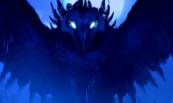 Ori and the Blind Forest test par JeuxActu.com Ori and the Blind Forest test par JeuxActu.com