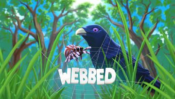 Webbed Review: 4 Ratings, Pros and Cons