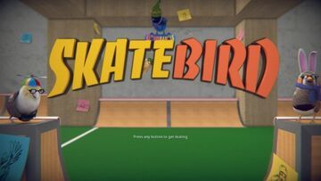 Skatebird test par Shacknews