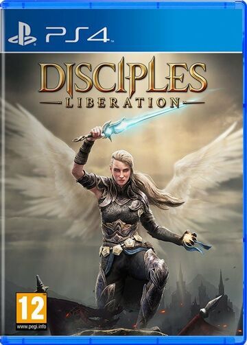 Disciples Liberation test par PixelCritics