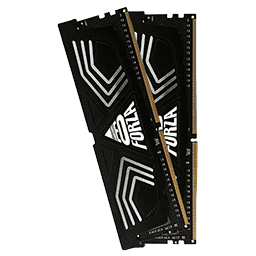 Neo Forza Faye DDR4-4600 Review: 1 Ratings, Pros and Cons