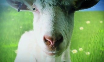 Goat Simulator test par JeuxActu.com Goat Simulator test par JeuxActu.com