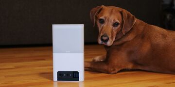 PetCube Bites test par MUO PetCube Bites test par MUO