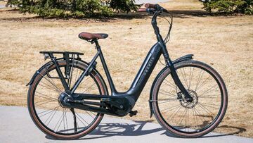 Gazelle Arroyo C8 im Test: 1 Bewertungen, erfahrungen, Pro und Contra