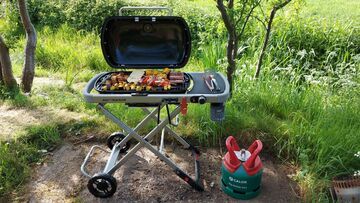 Weber Traveler Review: 1 Ratings, Pros and Cons