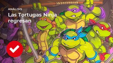 Teenage Mutant Ninja Turtles Shredder's Revenge test par Nintendoros