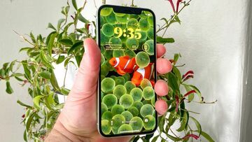 Anlisis Apple iOS 16