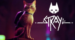 Stray reviewed by GameWatcher