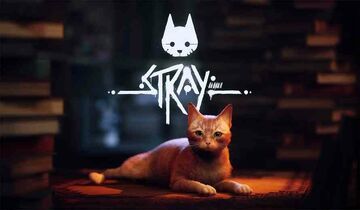 Stray reviewed by COGconnected