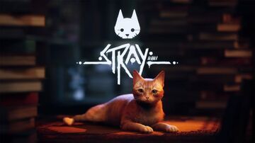 Stray reviewed by TechRaptor