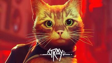 Stray test par Game-eXperience.it