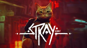 Stray reviewed by Niche Gamer