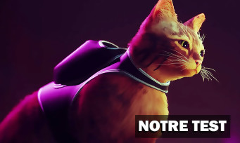 Stray test par JeuxActu.com