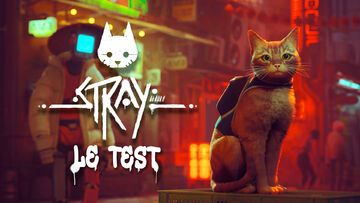 Stray test par M2 Gaming