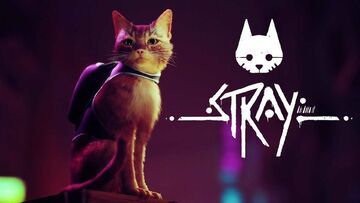 Stray test par Naturalborngamers.it