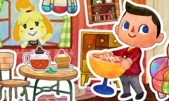 Test Animal Crossing Happy Home Designer