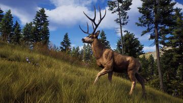 Way of the Hunter test par TheXboxHub