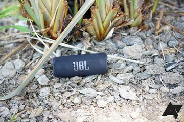 JBL Flip 6 Review