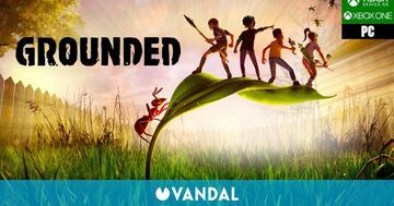 Grounded reviewed by Vandal