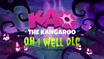Kao the Kangaroo Oh! Well test par Hinsusta