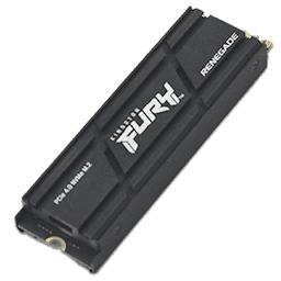 Test Kingston FURY Renegade