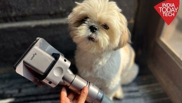 Test Dyson Pet Grooming Kit