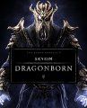 Test The Elder Scrolls V : Skyrim - Dragonborn