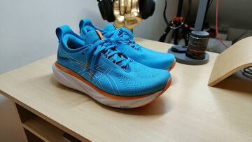 ASICS Gel-Nimbus 25 Review: 2 Ratings, Pros and Cons