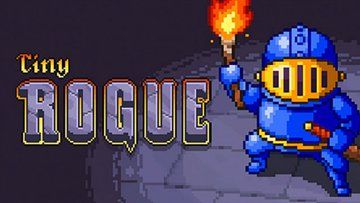 Test Tiny Rogue 