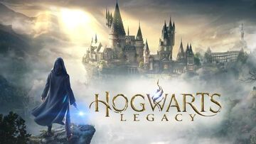 Hogwarts Legacy test par Niche Gamer
