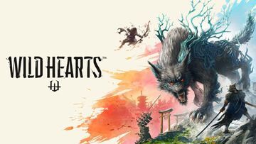 Wild Hearts reviewed by JVFrance