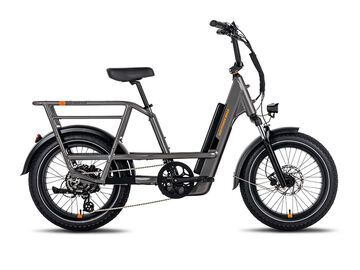 Anlisis Rad Power Bikes RadRunner