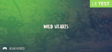 Wild Hearts test par Geeks By Girls Wild Hearts test par Geeks By Girls