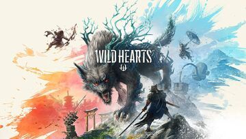 Wild Hearts reviewed by TestingBuddies