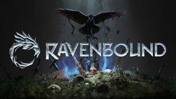 Ravenbound Review: 13 Ratings, Pros and Cons